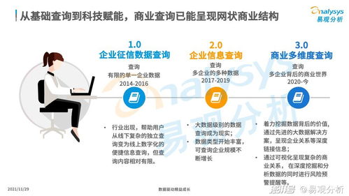 商業(yè)查詢已成社會(huì)信用基石，中國(guó)商業(yè)查詢市場(chǎng)發(fā)展機(jī)遇與企業(yè)在咨詢服務(wù)下的市場(chǎng)策略